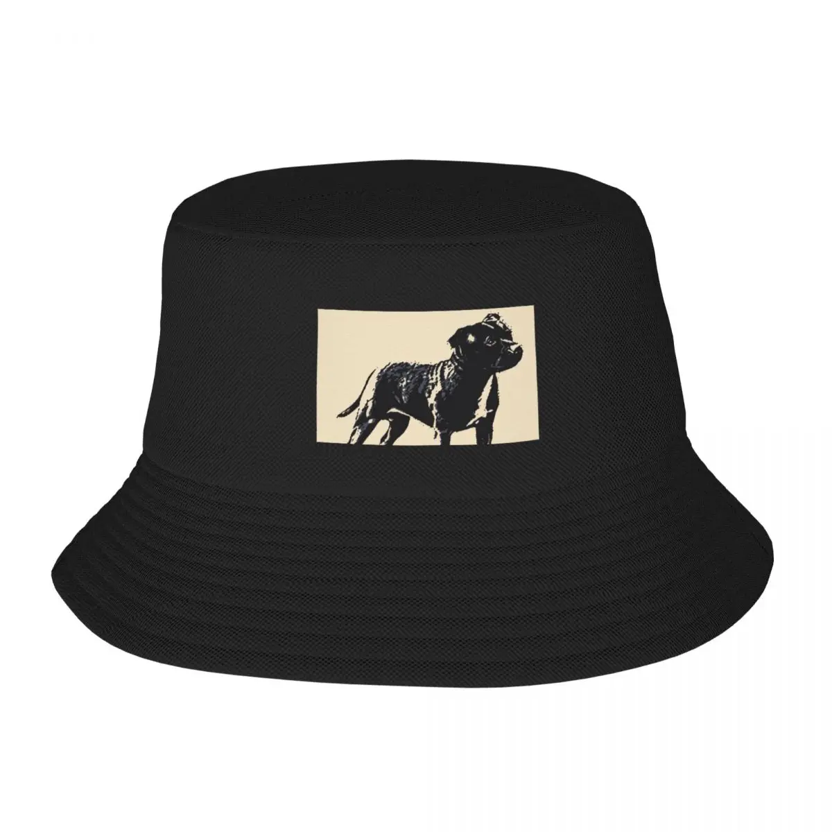 Staffordshire Bull Terjeras - Conte Stiliaus Kibiro Kepurę Prekės ženklo Vyras Kepurės Skrybėlės Paplūdimio Elegantiškas moteriškos Kepuraitės, vyriški